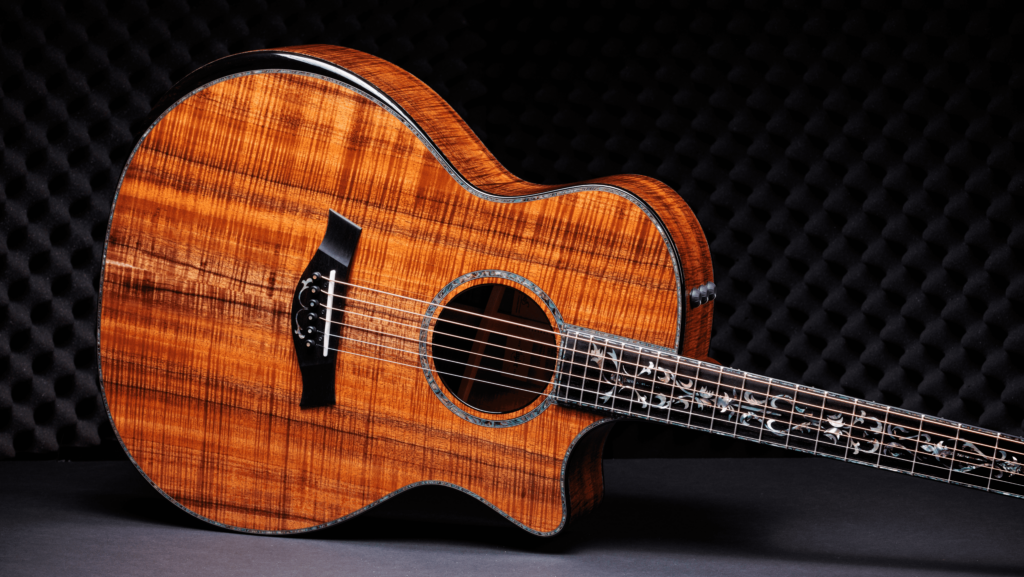 Taylor-PS24ce-LTD-50th-With-Koa-Amp-1210313004-gallery-01-2024